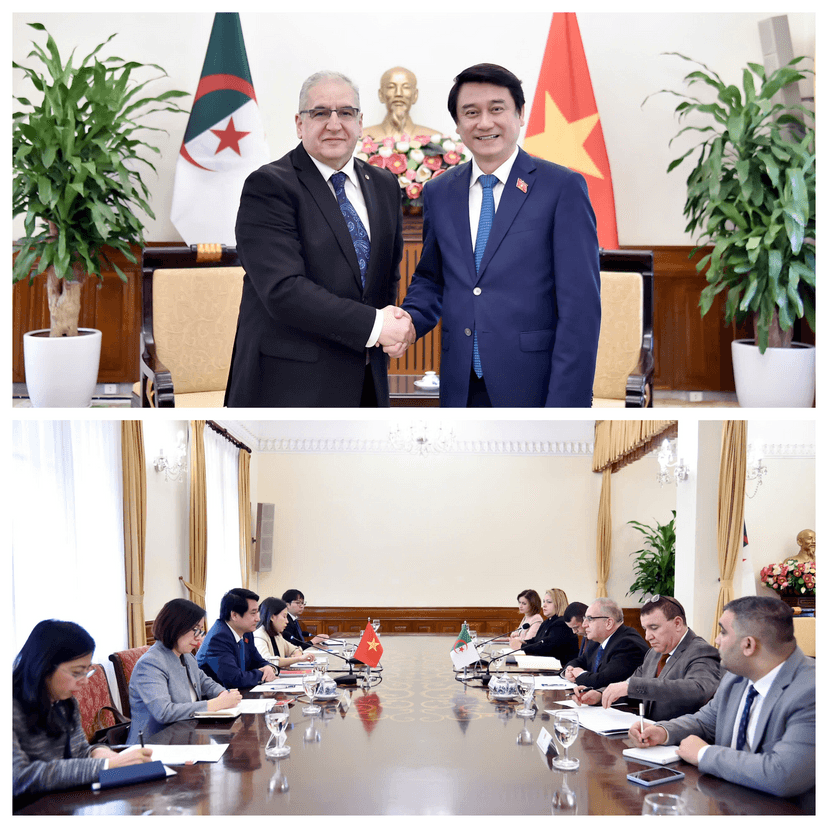 4th session of the Algeria-Vietnam Political Consultation